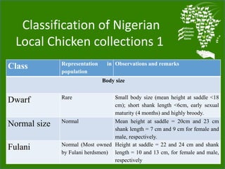Chicken genetic resources and sustainable rural livelihoods in Nigeria