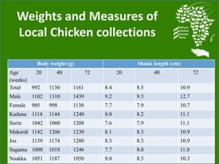 Chicken genetic resources and sustainable rural livelihoods in Nigeria
