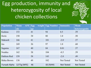 Chicken genetic resources and sustainable rural livelihoods in Nigeria