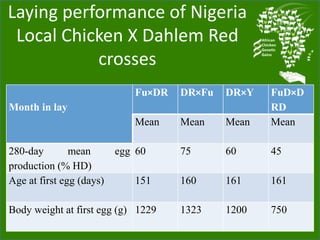 Chicken genetic resources and sustainable rural livelihoods in Nigeria