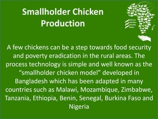 Chicken genetic resources and sustainable rural livelihoods in Nigeria