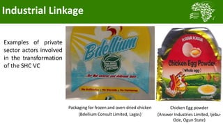 Transforming smallholder chicken production in Nigeria