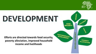 Transforming smallholder chicken production in Nigeria