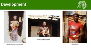 Transforming smallholder chicken production in Nigeria