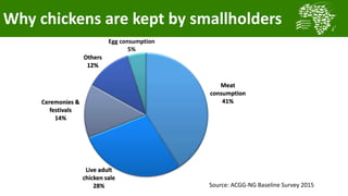 Transforming smallholder chicken production in Nigeria