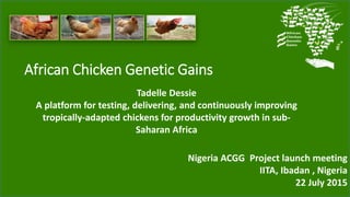 African Chicken Genetic Gains
Tadelle Dessie
A platform for testing, delivering, and continuously improving
tropically-adapted chickens for productivity growth in sub-
Saharan Africa
Nigeria ACGG Project launch meeting
IITA, Ibadan , Nigeria
22 July 2015
 