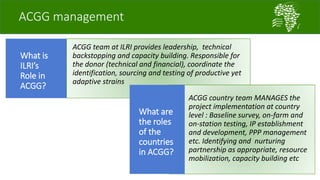 African Chicken Genetic Gains: A platform for testing, delivering, and continuously improving tropically-adapted chickens for productivity growth in sub-Saharan Africa