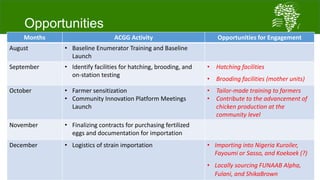 African Chicken Genetic Gains: A platform for testing, delivering, and continuously improving tropically-adapted chickens for productivity growth in sub-Saharan Africa