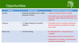 African Chicken Genetic Gains: A platform for testing, delivering, and continuously improving tropically-adapted chickens for productivity growth in sub-Saharan Africa