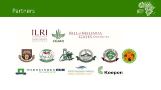 African Chicken Genetic Gains: A platform for testing, delivering, and continuously improving tropically-adapted chickens for productivity growth in sub-Saharan Africa