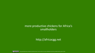 African Chicken Genetic Gains: A platform for testing, delivering, and continuously improving tropically-adapted chickens for productivity growth in sub-Saharan Africa
