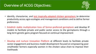 African Chicken Genetic Gains: A platform for testing, delivering, and continuously improving tropically-adapted chickens for productivity growth in sub-Saharan Africa