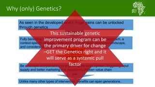 African Chicken Genetic Gains: A platform for testing, delivering, and continuously improving tropically-adapted chickens for productivity growth in sub-Saharan Africa