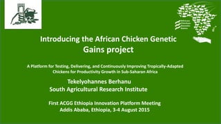 Introducing the African Chicken Genetic
Gains project
A Platform for Testing, Delivering, and Continuously Improving Tropically-Adapted
Chickens for Productivity Growth in Sub-Saharan Africa
First ACGG Ethiopia Innovation Platform Meeting
Addis Ababa, Ethiopia, 3-4 August 2015
Tekelyohannes Berhanu
South Agricultural Research Institute
 