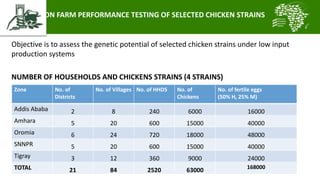 Introducing the African Chicken Genetic Gains project: A platform for testing, delivering, and continuously improving tropically-adapted chickens for productivity growth in sub-Saharan Africa