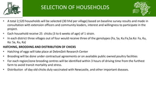 Introducing the African Chicken Genetic Gains project: A platform for testing, delivering, and continuously improving tropically-adapted chickens for productivity growth in sub-Saharan Africa