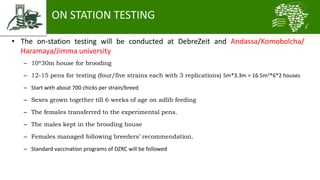 Introducing the African Chicken Genetic Gains project: A platform for testing, delivering, and continuously improving tropically-adapted chickens for productivity growth in sub-Saharan Africa