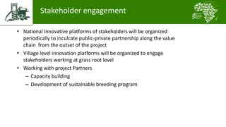 Introducing the African Chicken Genetic Gains project: A platform for testing, delivering, and continuously improving tropically-adapted chickens for productivity growth in sub-Saharan Africa