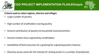 Introducing the African Chicken Genetic Gains project: A platform for testing, delivering, and continuously improving tropically-adapted chickens for productivity growth in sub-Saharan Africa