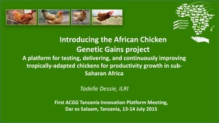 Introducing the African Chicken
Genetic Gains project
A platform for testing, delivering, and continuously improving
tropically-adapted chickens for productivity growth in sub-
Saharan Africa
Tadelle Dessie, ILRI
First ACGG Tanzania Innovation Platform Meeting,
Dar es Salaam, Tanzania, 13-14 July 2015
 