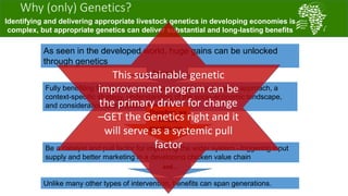 Introducing the African Chicken Genetic Gains project: A platform for testing, delivering, and continuously improving tropically-adapted chickens for productivity growth in sub-Saharan Africa