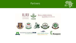 Introducing the African Chicken Genetic Gains project: A platform for testing, delivering, and continuously improving tropically-adapted chickens for productivity growth in sub-Saharan Africa