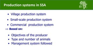 Introducing the African Chicken Genetic Gains project: A platform for testing, delivering, and continuously improving tropically-adapted chickens for productivity growth in sub-Saharan Africa