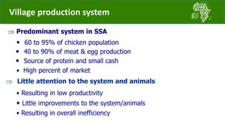 Introducing the African Chicken Genetic Gains project: A platform for testing, delivering, and continuously improving tropically-adapted chickens for productivity growth in sub-Saharan Africa