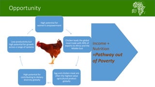 Introducing the African Chicken Genetic Gains project: A platform for testing, delivering, and continuously improving tropically-adapted chickens for productivity growth in sub-Saharan Africa