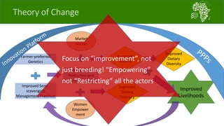 Introducing the African Chicken Genetic Gains project: A platform for testing, delivering, and continuously improving tropically-adapted chickens for productivity growth in sub-Saharan Africa