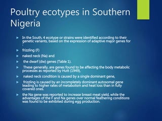 From PEARL project to ACGG in Nigeria