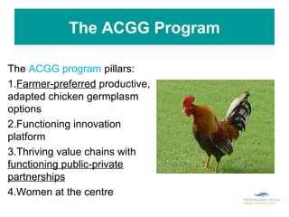 Facilitating partnerships and institutional engagements for effective implementation of the African Chicken Genetic Gains program