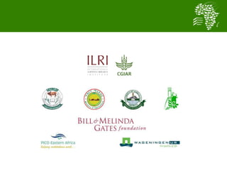 Baseline activities and data management for the African Chicken Genetic Gains program