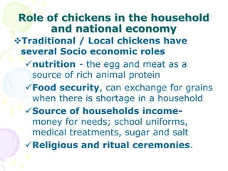 Role of chickens in the household
and national economy
Traditional / Local chickens have
several Socio economic roles
nutrition - the egg and meat as a
source of rich animal protein
Food security, can exchange for grains
when there is shortage in a household
Source of households income-
money for needs; school uniforms,
medical treatments, sugar and salt
Religious and ritual ceremonies.
 