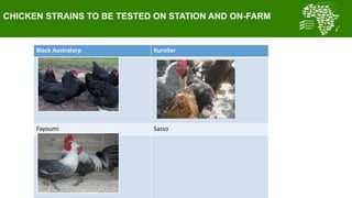  Summary of key outcomes from the first ACGG Tanzania innovation platform (IP) meeting