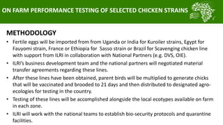  Summary of key outcomes from the first ACGG Tanzania innovation platform (IP) meeting