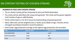 Summary of key outcomes from the first ACGG Tanzania innovation platform (IP) meeting