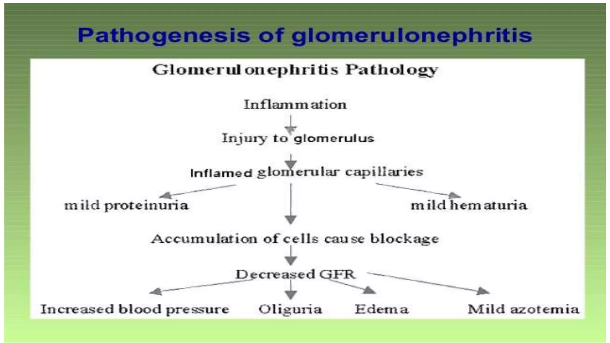 Acute glomerulonephritis in children | PPTX