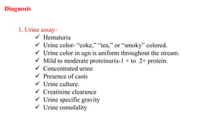 1. Urine assay-
 Hematuria
 Urine color- “coke,” “tea,” or “smoky” colored.
 Urine color in agn is uniform throughout the stream.
 Mild to moderate proteinuria-1 + to 2+ protein.
 Concentrated urine
 Presence of casts
 Urine culture.
 Creatinine clearance
 Urine specific gravity
 Urine osmolality
Diagnosis
 