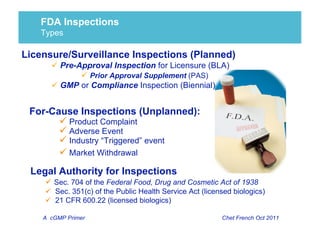 A cGMP Primer | PDF
