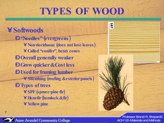 Softwoods Names ACH 121 Lecture 07 (Wood) Part 1 | PPT