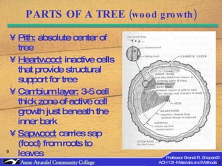 ACH 121 Lecture 07 (Wood) Part 1 | PPT