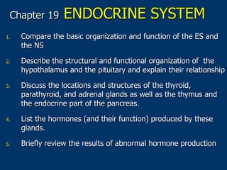 Chapter 19 ENDOCRINE SYSTEM
1. Compare the basic organization and function of the ES and
the NS
2. Describe the structural and functional organization of the
hypothalamus and the pituitary and explain their relationship
3. Discuss the locations and structures of the thyroid,
parathyroid, and adrenal glands as well as the thymus and
the endocrine part of the pancreas.
4. List the hormones (and their function) produced by these
glands.
5. Briefly review the results of abnormal hormone production
 