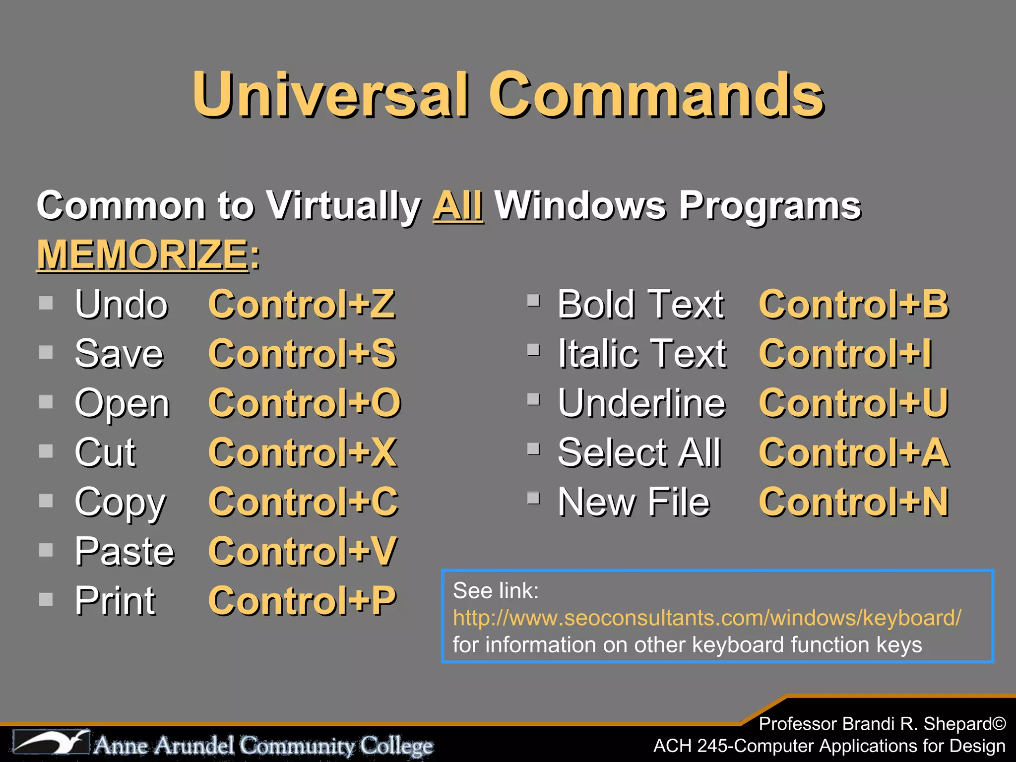 Universal Commands Common to Virtually  All  Windows Programs MEMORIZE : Undo Control+Z      Bold Text   Control+B   Save Control+S    Italic Text   Control+I   Open Control+O      Underline   Control+U   Cut Control+X      Select All   Control+A   Copy Control+C      New File   Control+N   Paste Control+V   Print  Control+P   See link:  http://www.seoconsultants.com/windows/keyboard/  for information on other keyboard function keys 