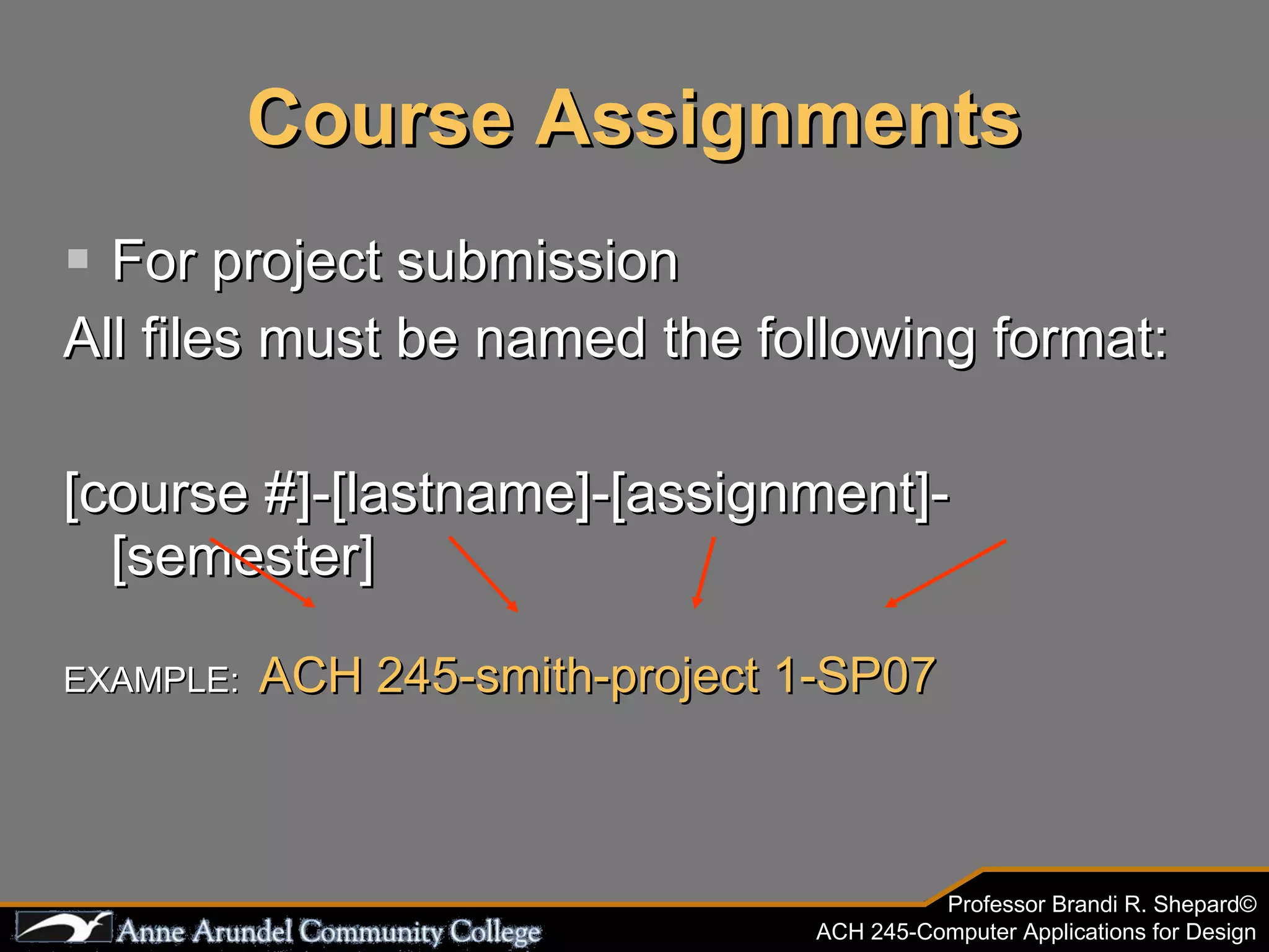 Course Assignments For project submission All files must be named the following format: [course #]-[lastname]-[assignment]-[semester] EXAMPLE:  ACH 245-smith-project 1-SP07 