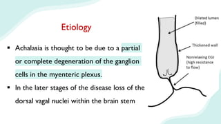 Etiology
 Achalasia is thought to be due to a partial
or complete degeneration of the ganglion
cells in the myenteric plexus.
 In the later stages of the disease loss of the
dorsal vagal nuclei within the brain stem
 