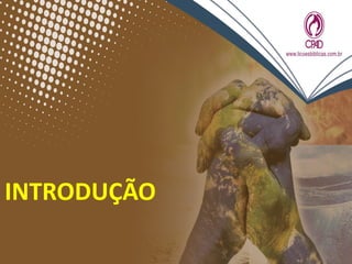 INTRODUÇÃO
 