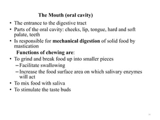 The Mouth (oral cavity)
• The entrance to the digestive tract
• Parts of the oral cavity: cheeks, lip, tongue, hard and soft
palate, teeth
• Is responsible for mechanical digestion of solid food by
mastication
Functions of chewing are:
• To grind and break food up into smaller pieces
–Facilitate swallowing
–Increase the food surface area on which salivary enzymes
will act
• To mix food with saliva
• To stimulate the taste buds
14
 