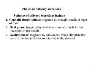 Phases of Salivary secretions
3-phases of salivary secretions include
1. Cephalic (brain) phase: triggered by thought, smell, or sight
of food
2. Oral phase: triggered by food that stimulate touch & test
receptors in the mouth
3. Gastric phase: triggered by substances which stimulate the
gastric mucosa (acids or sour tastes) in the stomach.
18
 