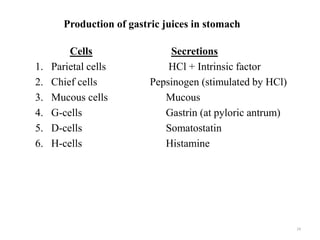 Production of gastric juices in stomach
Cells Secretions
1. Parietal cells HCl + Intrinsic factor
2. Chief cells Pepsinogen (stimulated by HCl)
3. Mucous cells Mucous
4. G-cells Gastrin (at pyloric antrum)
5. D-cells Somatostatin
6. H-cells Histamine
24
 